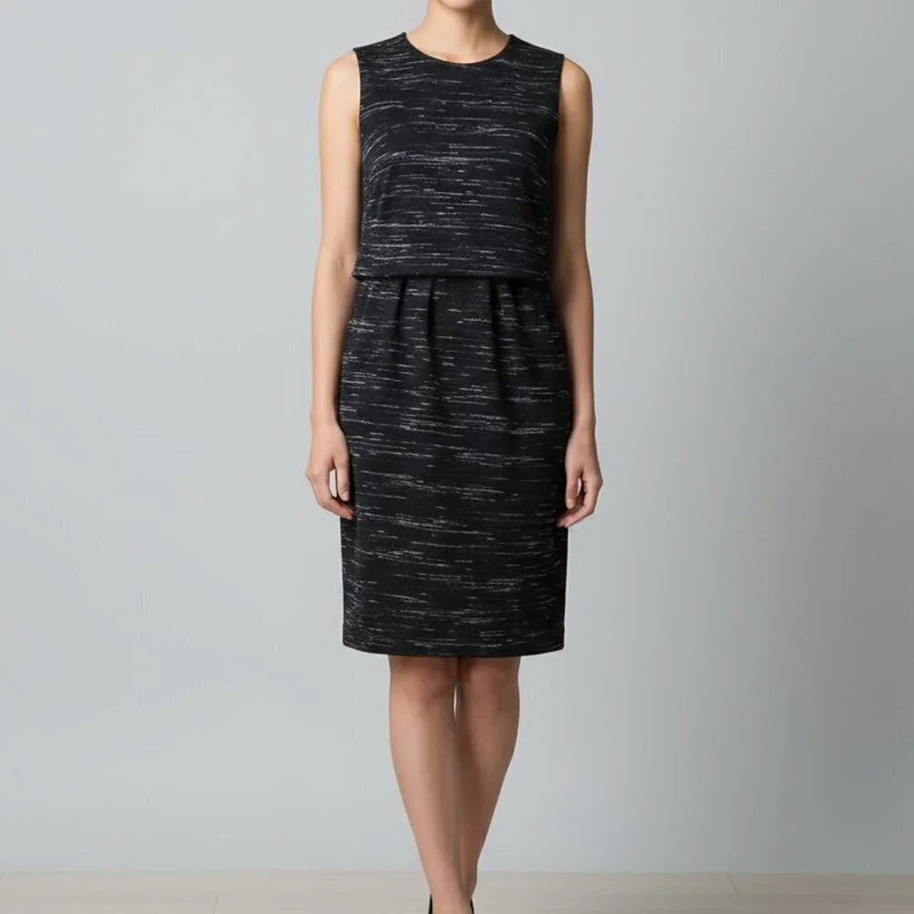 Ann Taylor Black Textured Sleeveless Sheath Dress | Women’s 4P Petite
